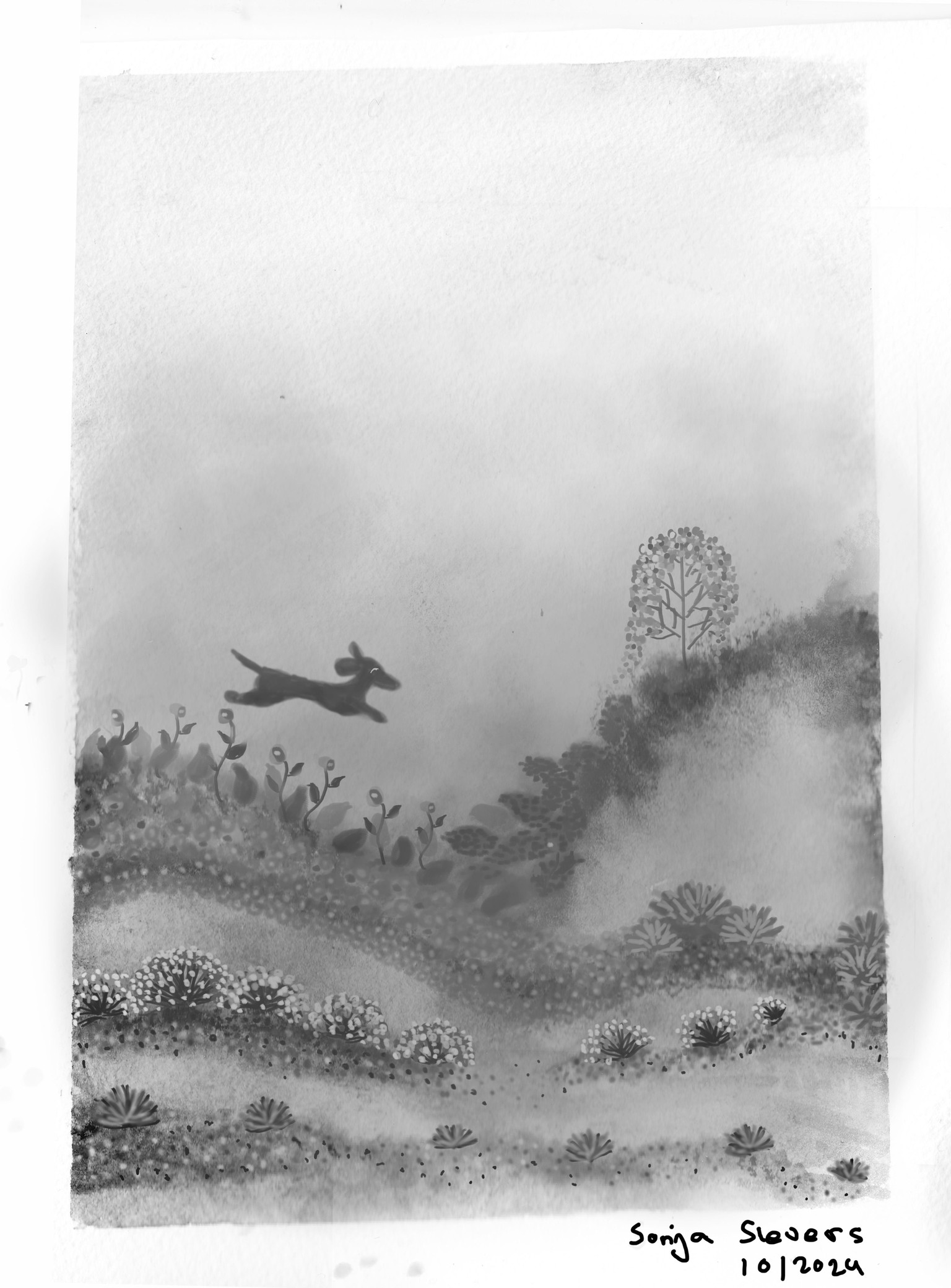Dackhhund journey - image 1 - student project
