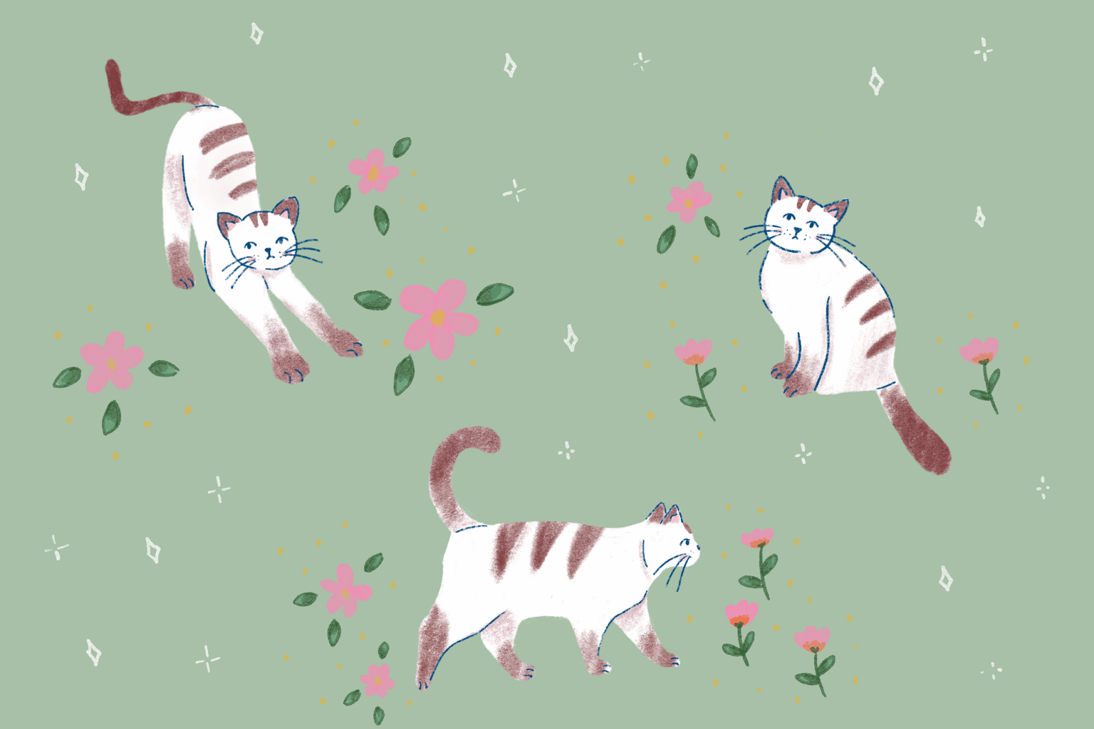 Cats - image 1 - student project