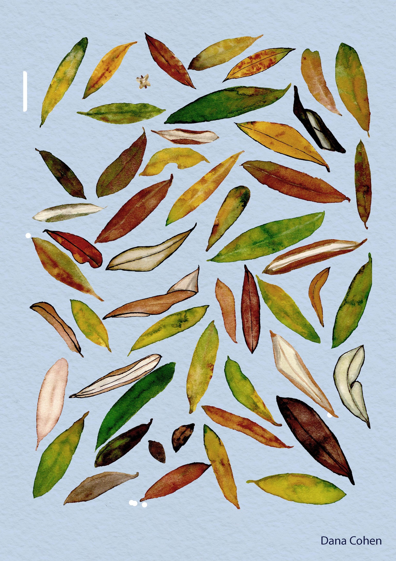 olive tree leafs - image 1 - student project