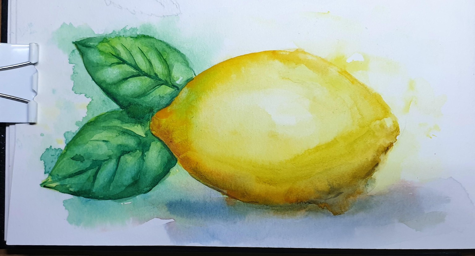 Citrus fruits - image 1 - student project