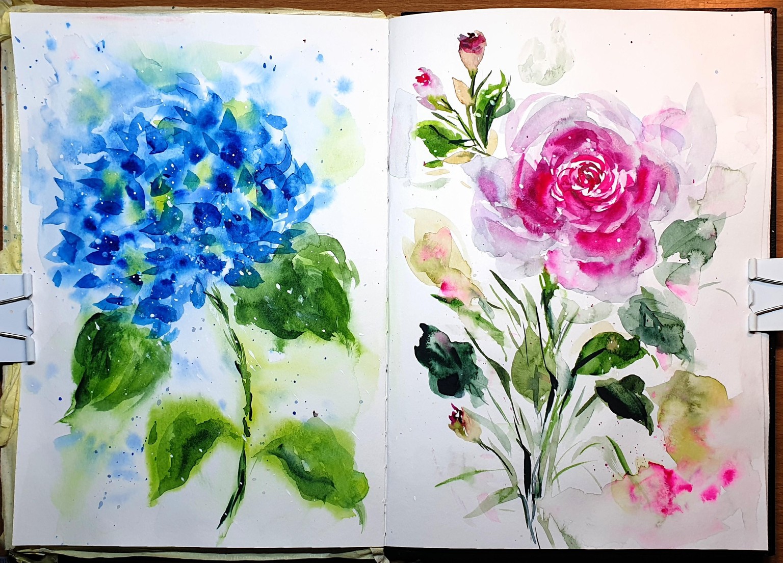 15 day flower challenge - image 5 - student project