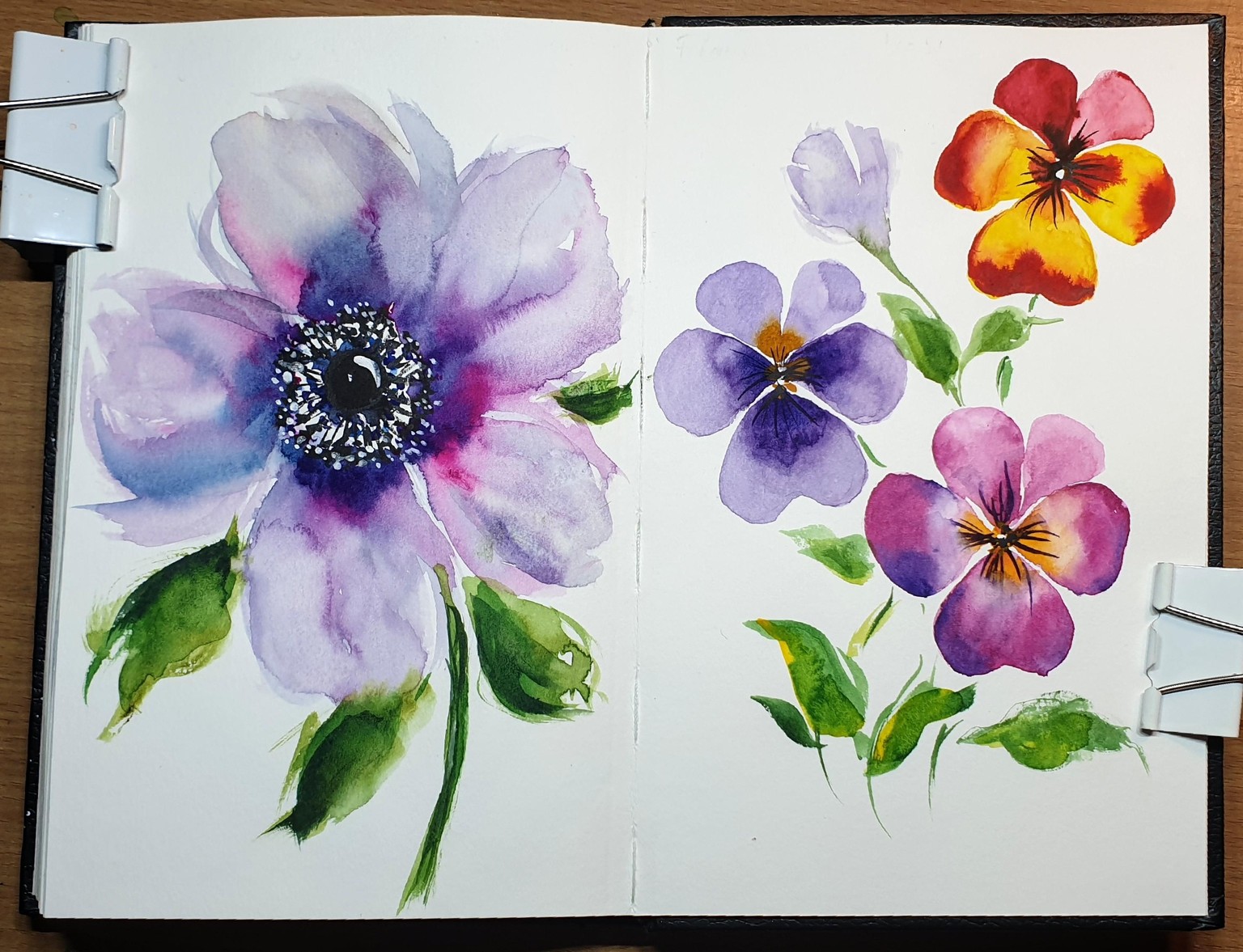 15 day flower challenge - image 4 - student project