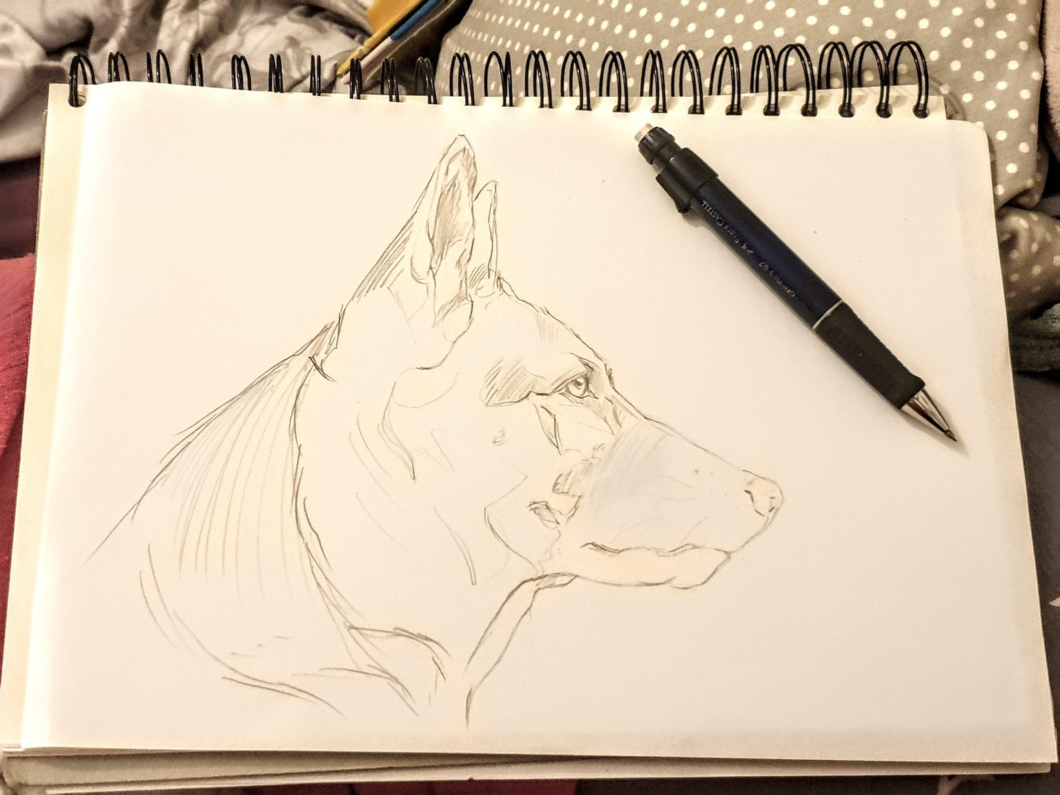 Drawing, tracing, doing both - image 5 - student project