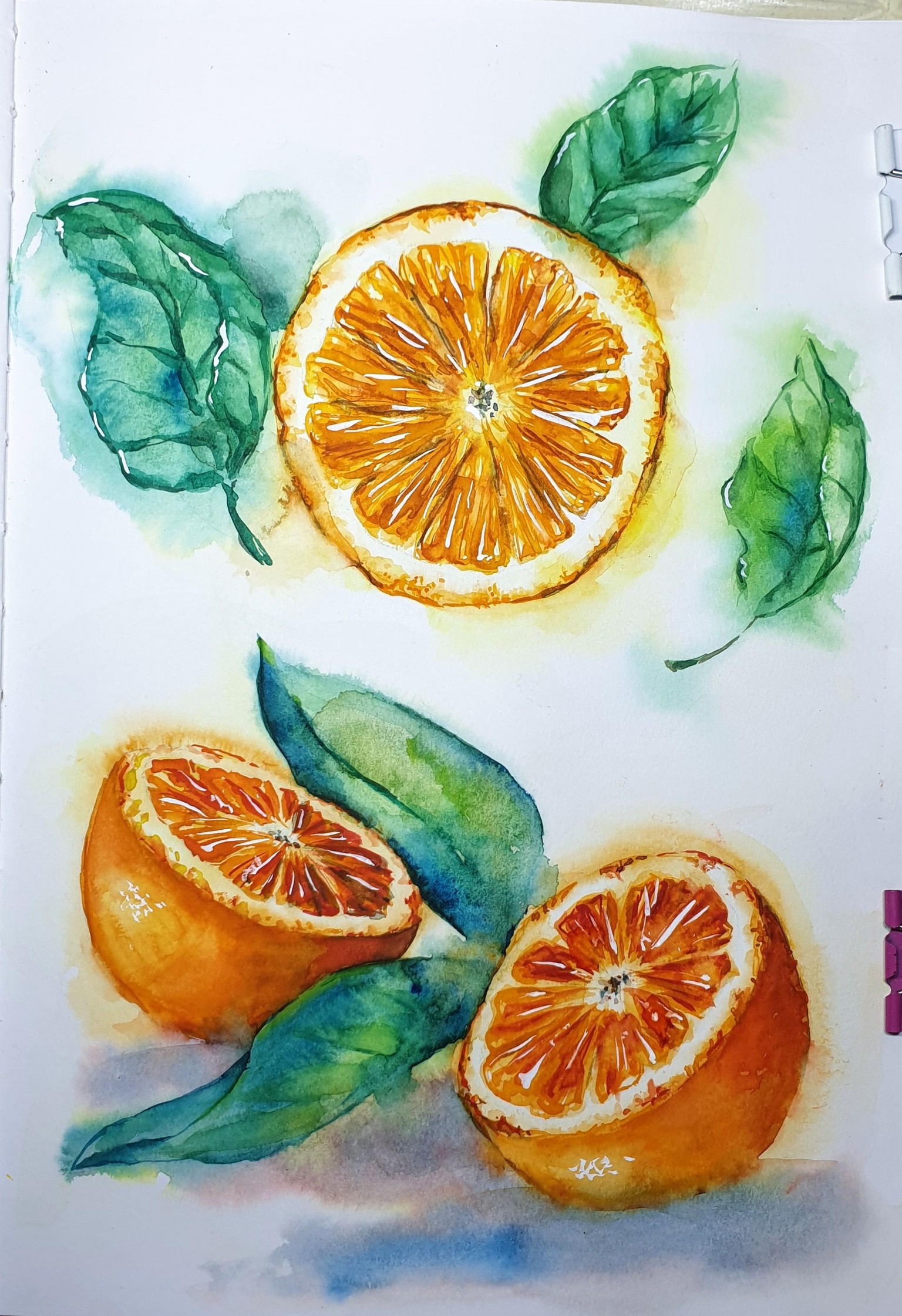 Citrus fruits - image 2 - student project