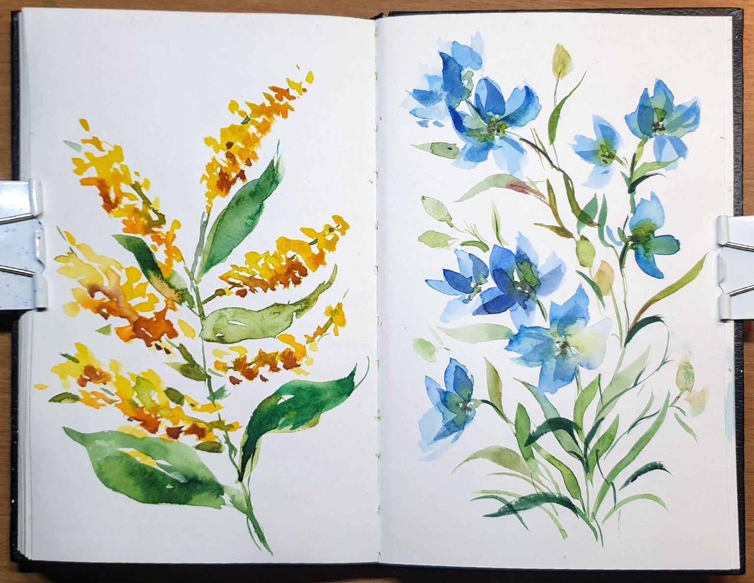 15 day flower challenge - image 1 - student project