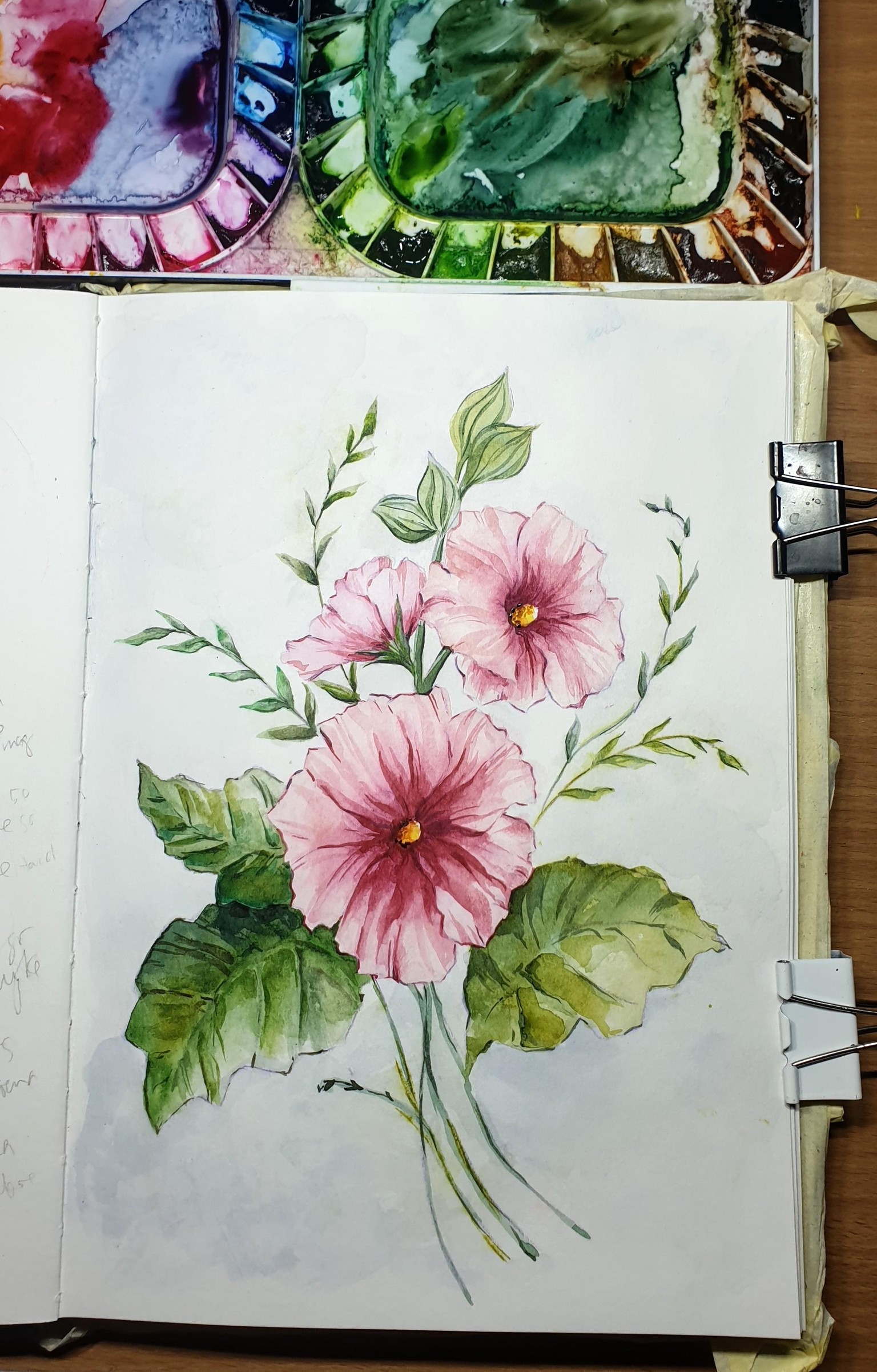 Hollyhocks - image 1 - student project