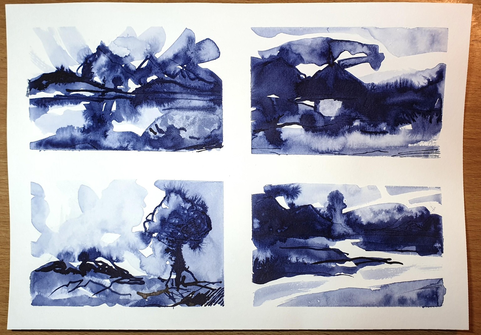 Ink landscapes - image 1 - student project