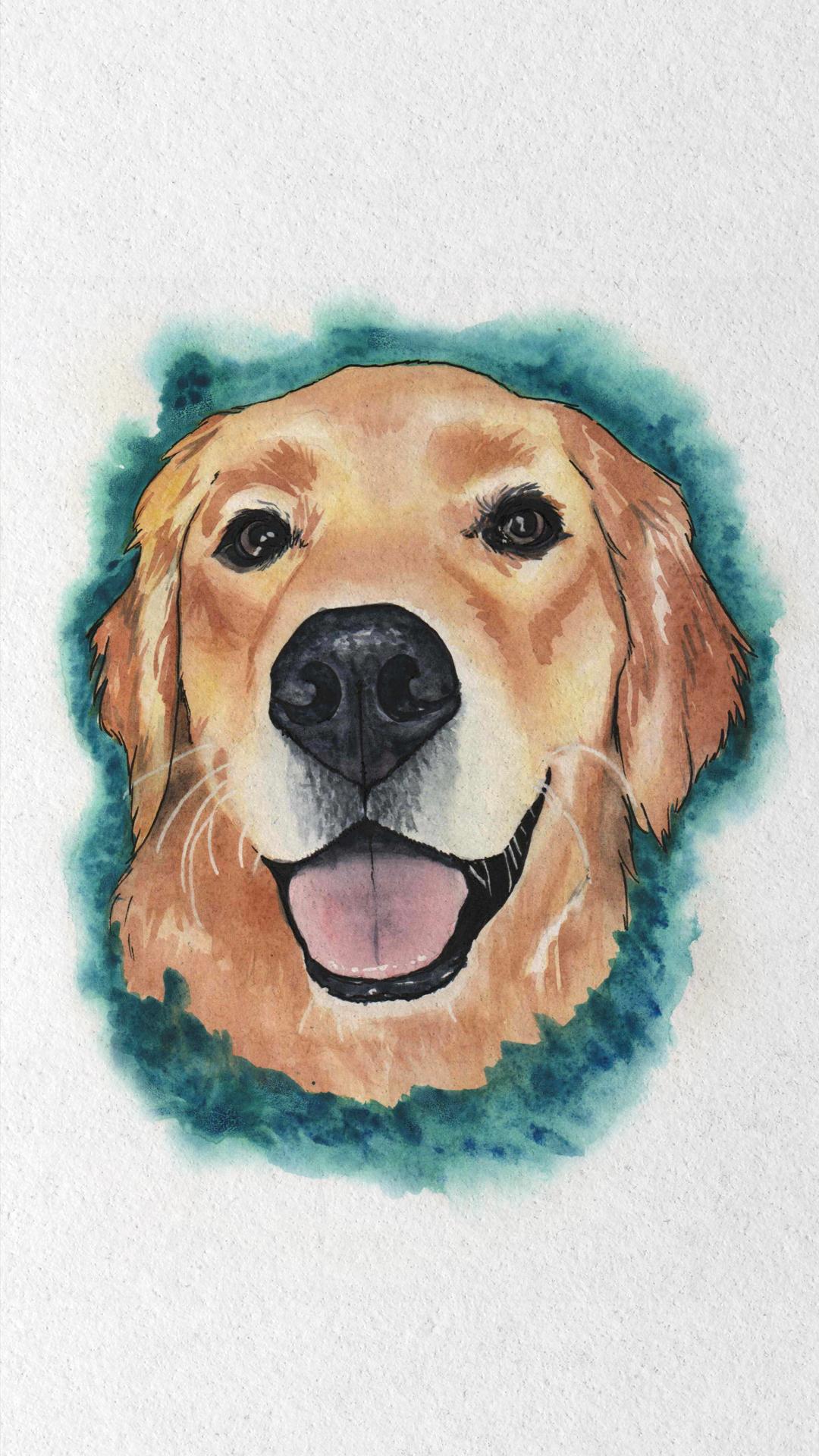 Golden Retriever - image 6 - student project