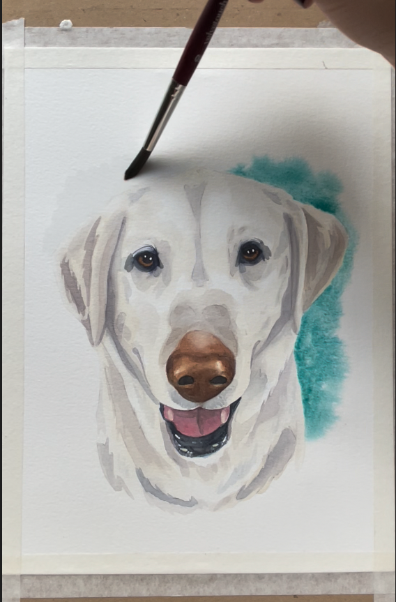 labrador blanco - image 3 - student project
