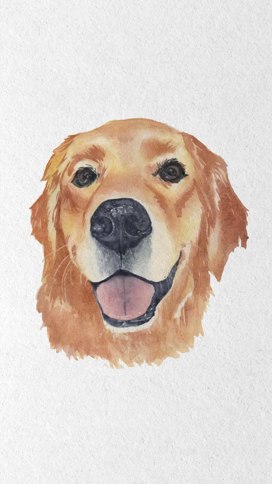 Golden Retriever - image 4 - student project