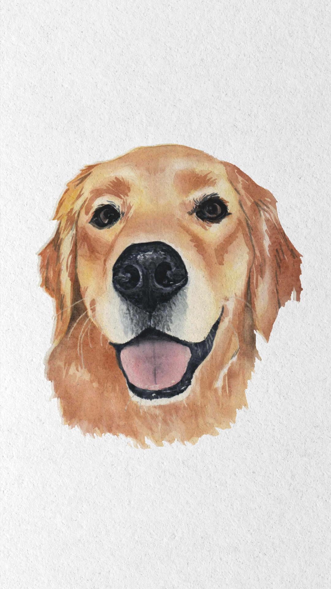 Golden Retriever - image 5 - student project