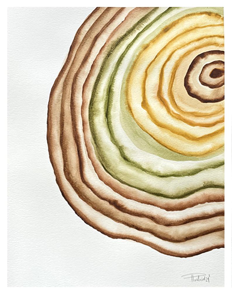 Soluble - image 8 - student project