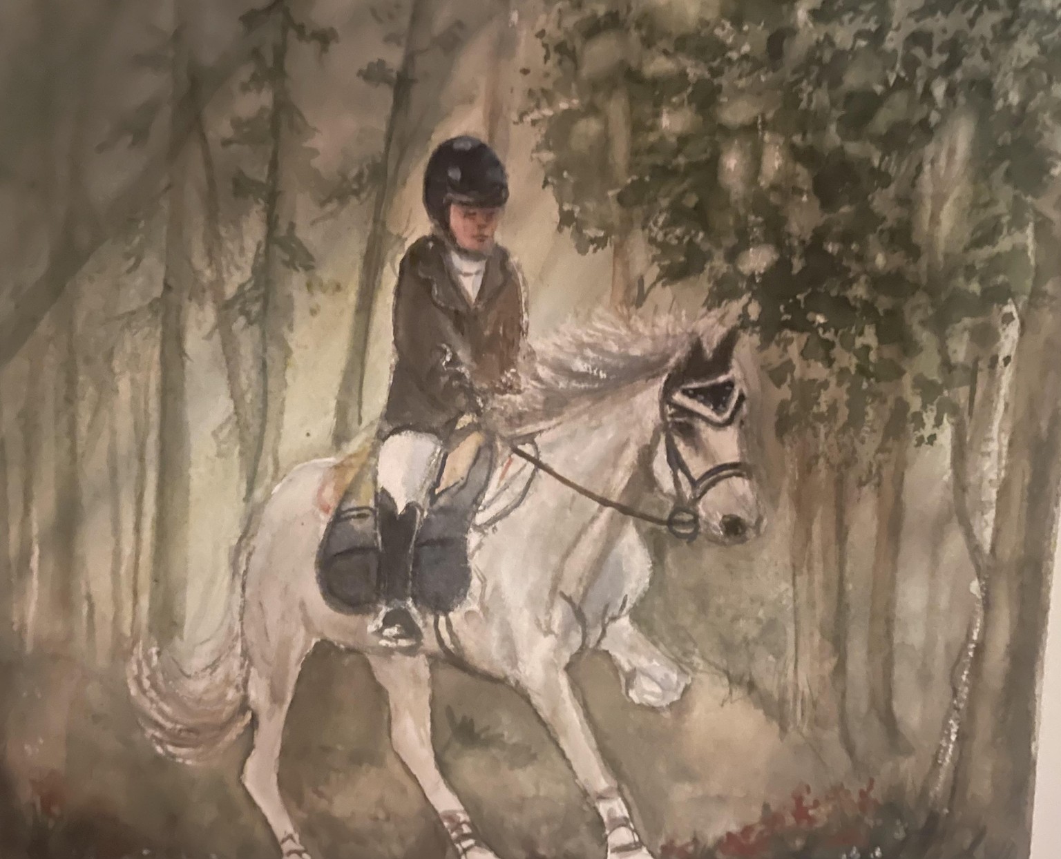 In the forest - image 1 - student project