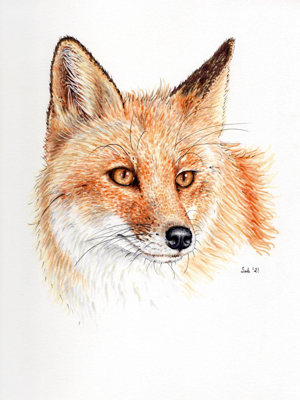 Alcohol Based Markers - The Fox - image 1 - student project