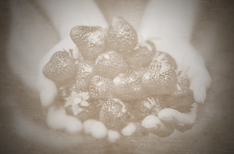 natural world - image 1 - student project