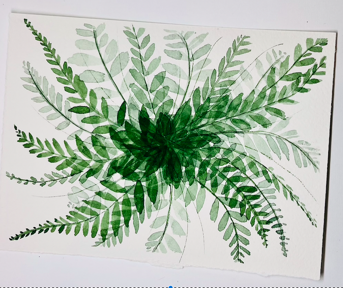 Boston Fern - image 1 - student project