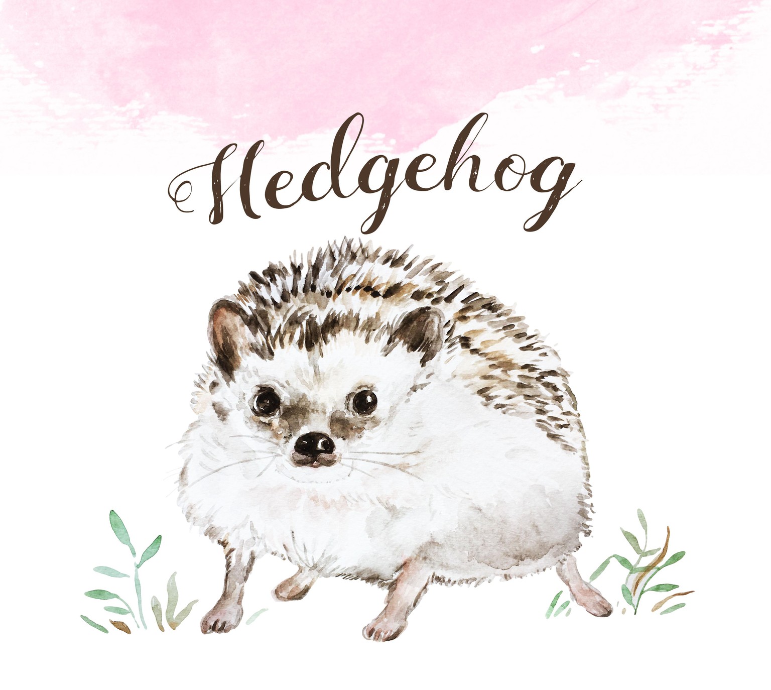 Cute babies  - image 2 - student project