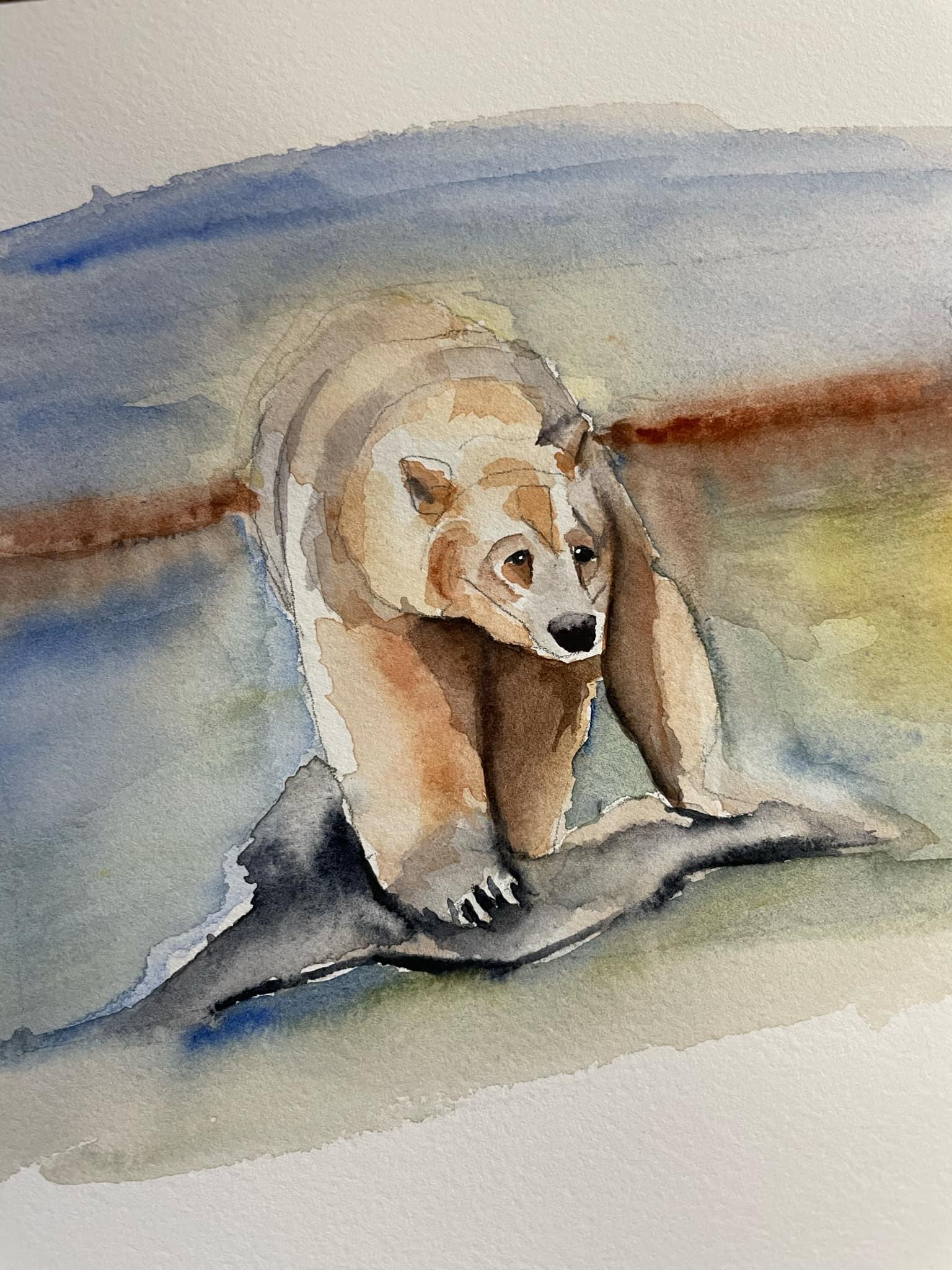 Spirit Bear - image 1 - student project