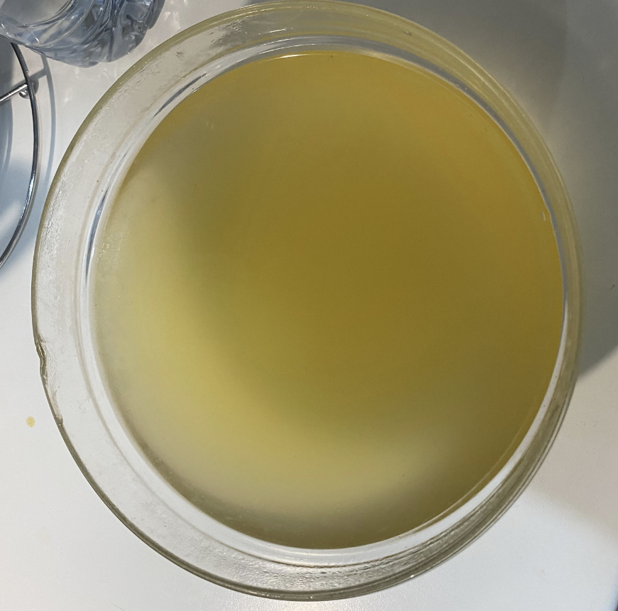 Chicken Stock & Fricasse & Omelette - image 2 - student project