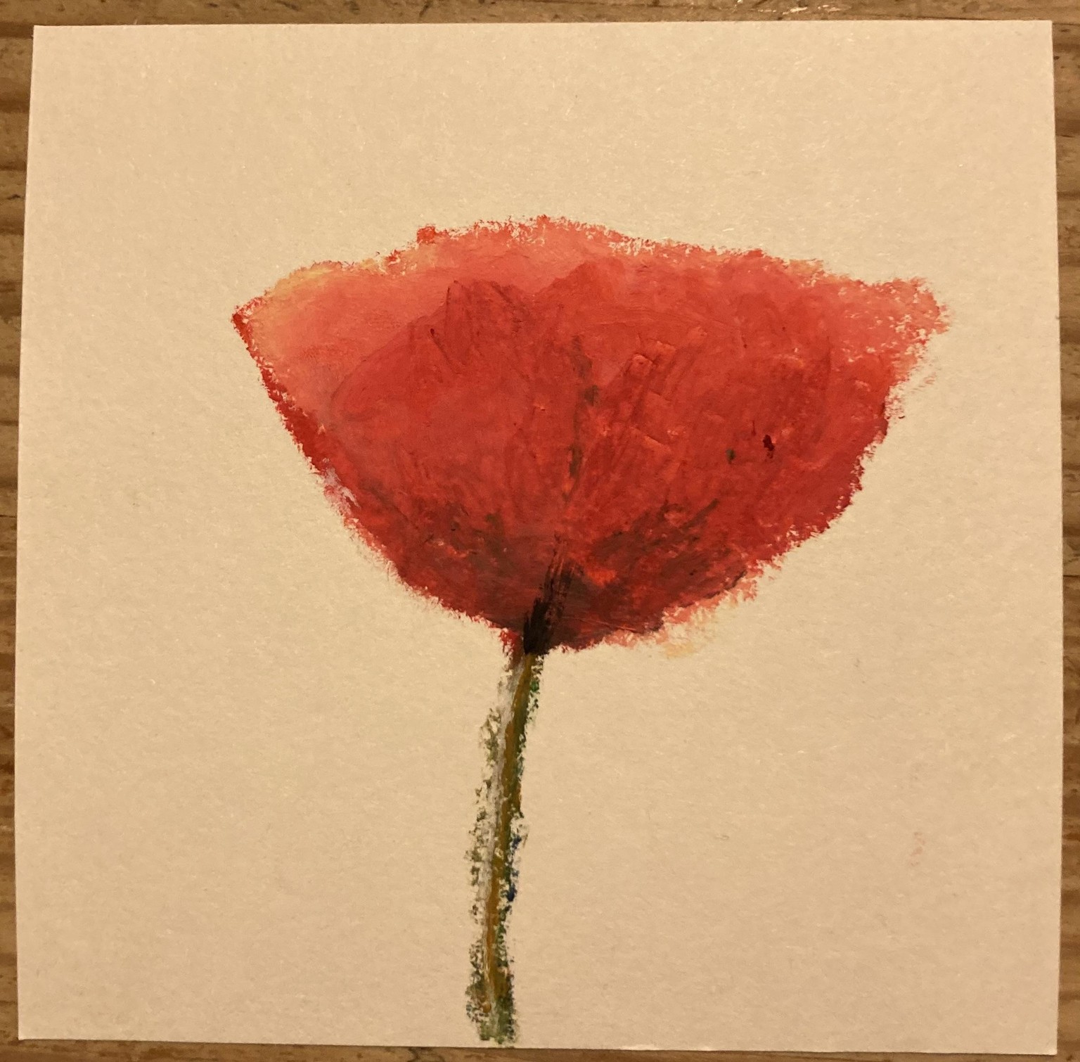 Mohnblüten - image 2 - student project