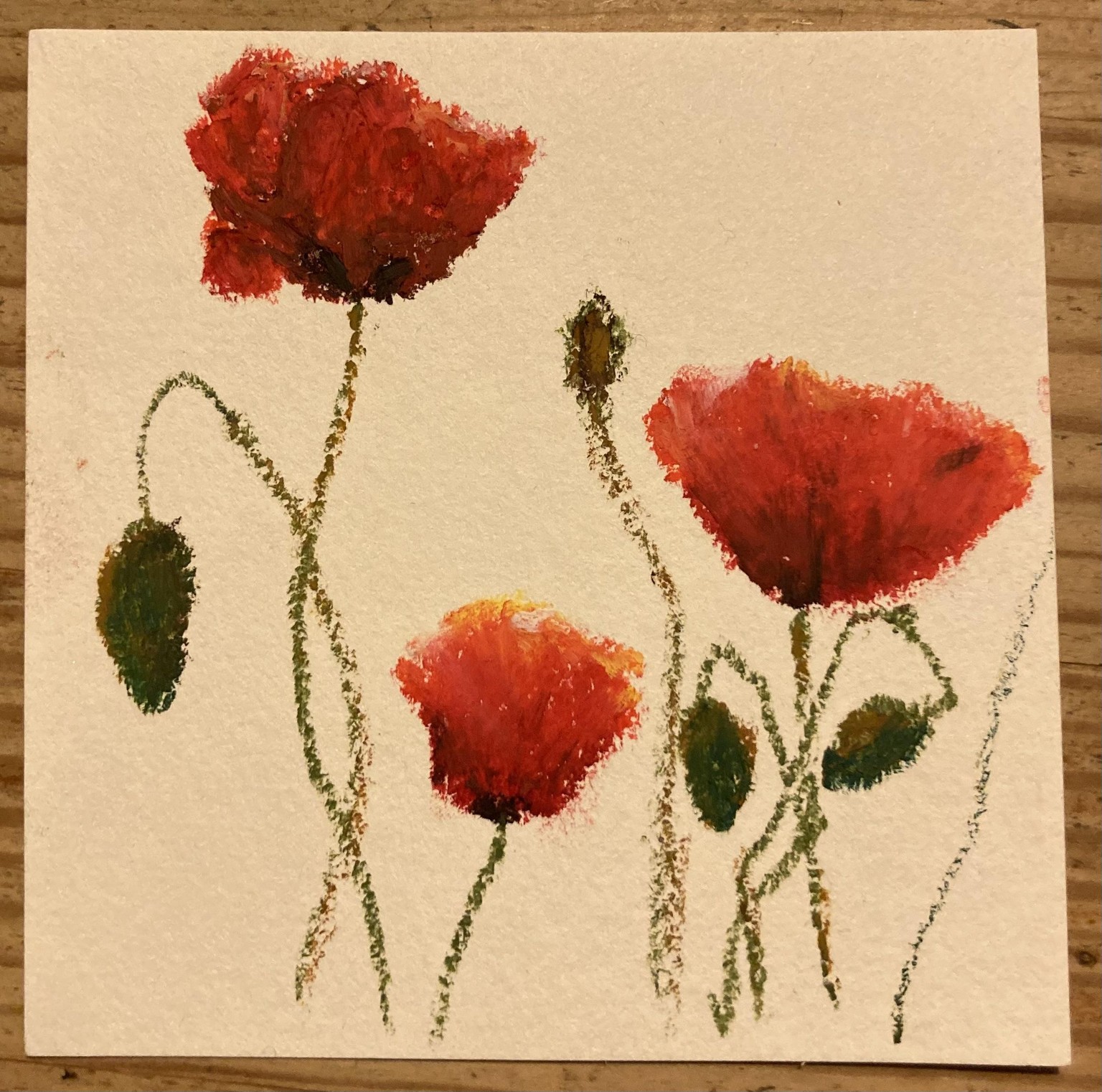 Mohnblüten - image 1 - student project