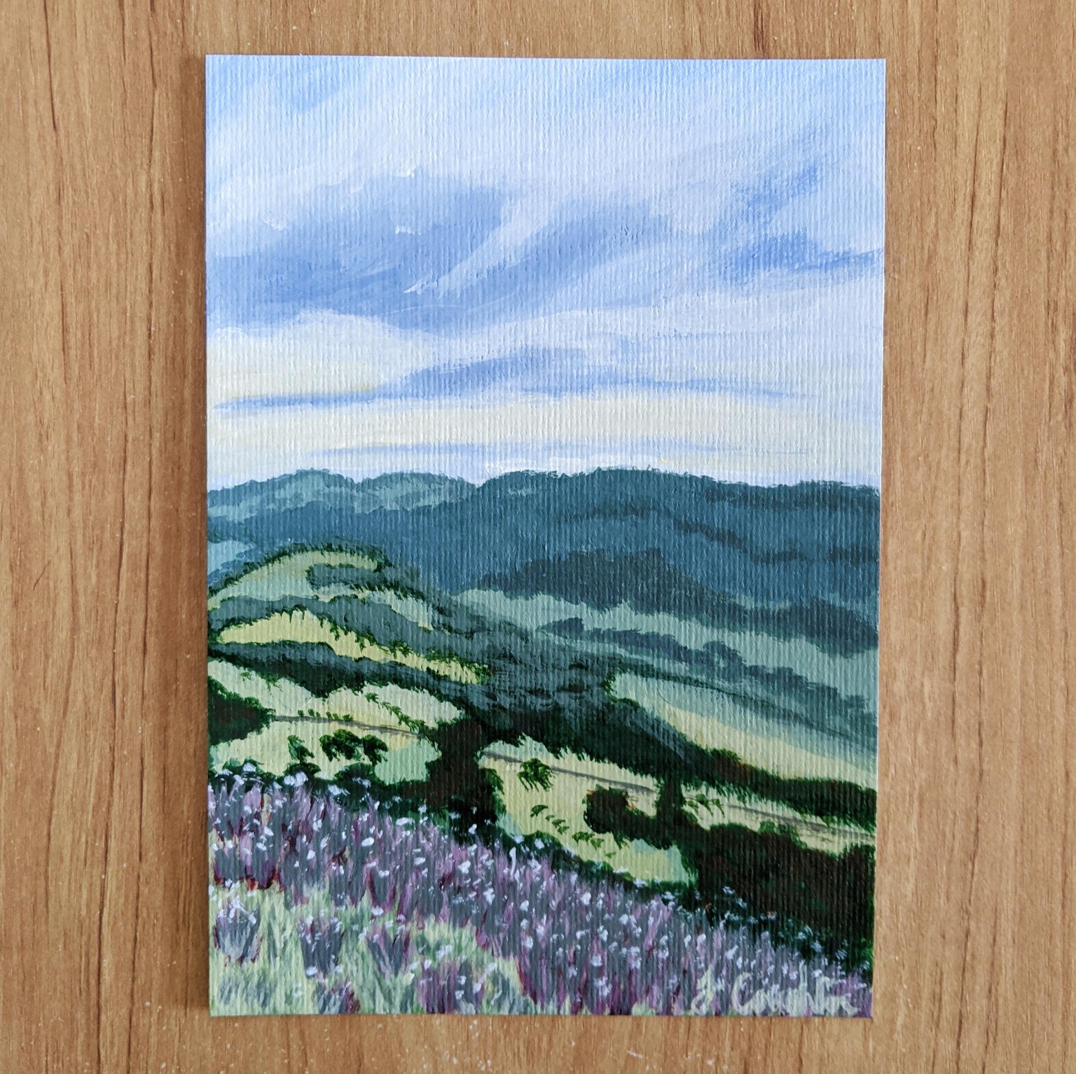 One Tree Hill - image 4 - student project