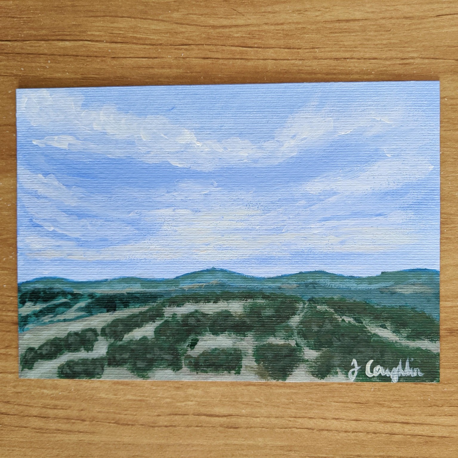 One Tree Hill - image 5 - student project