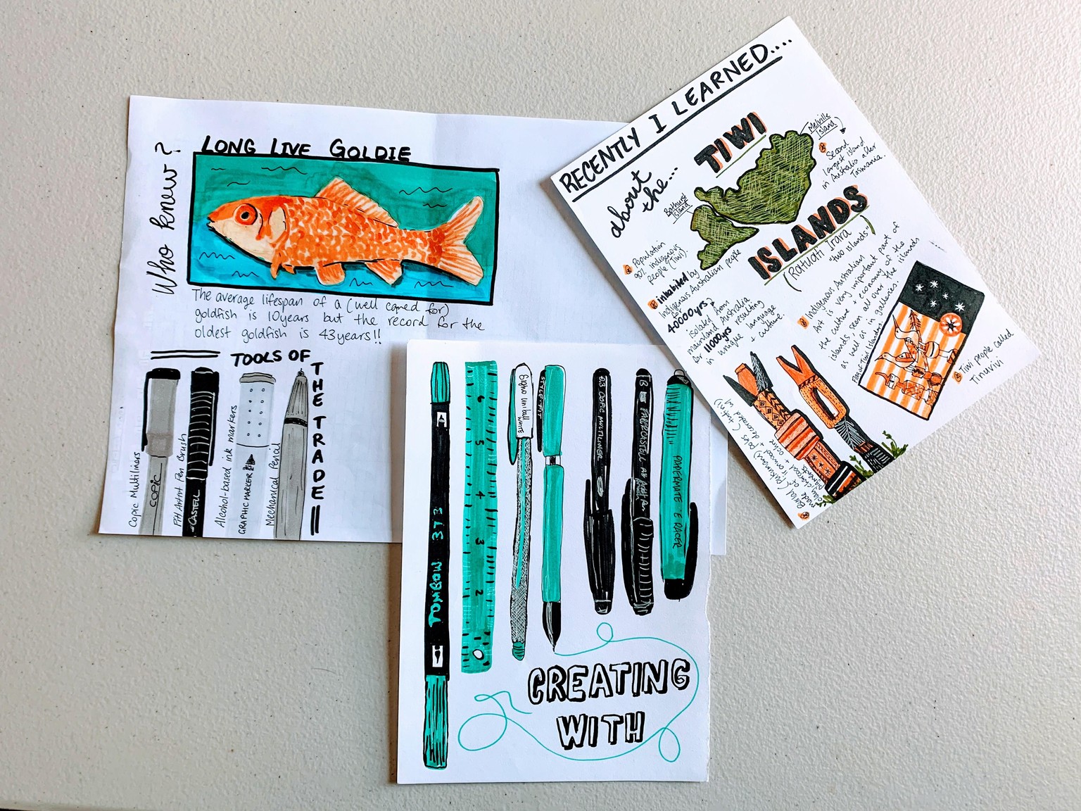 Exploring markers - image 3 - student project