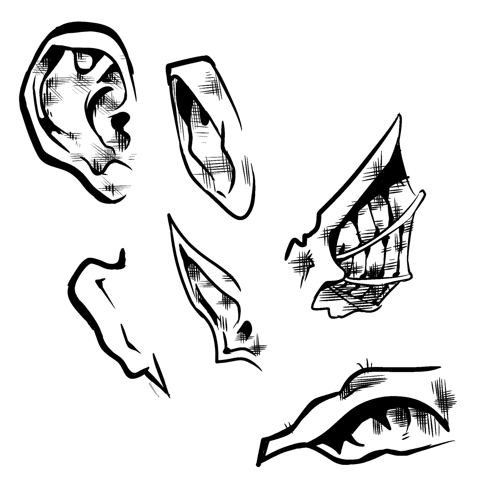 ears - image 1 - student project