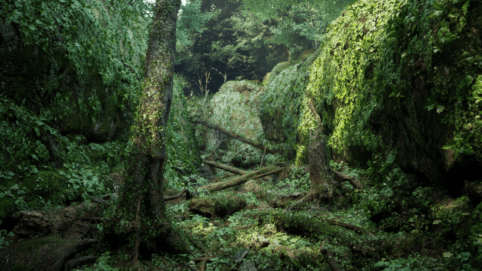 Forest Scene - image 1 - student project