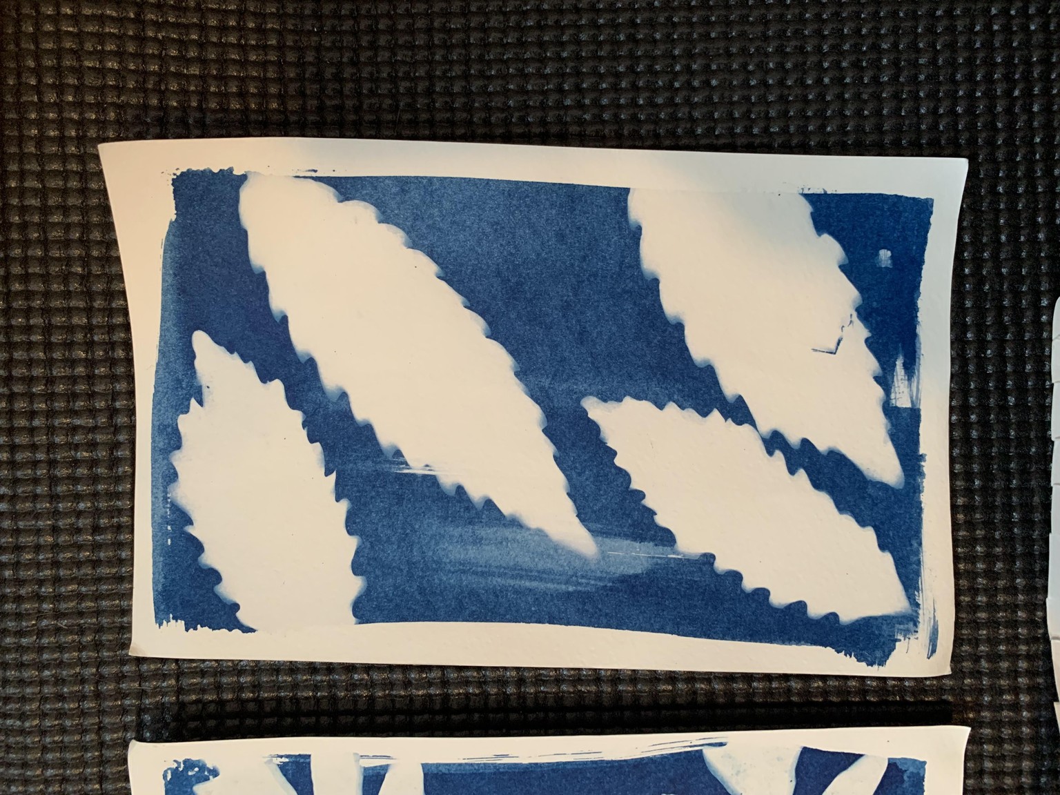 First Cyanotypes - image 4 - student project