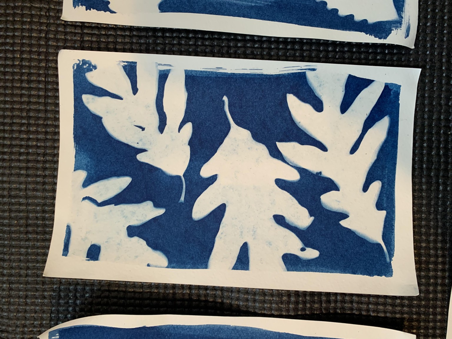 First Cyanotypes - image 5 - student project