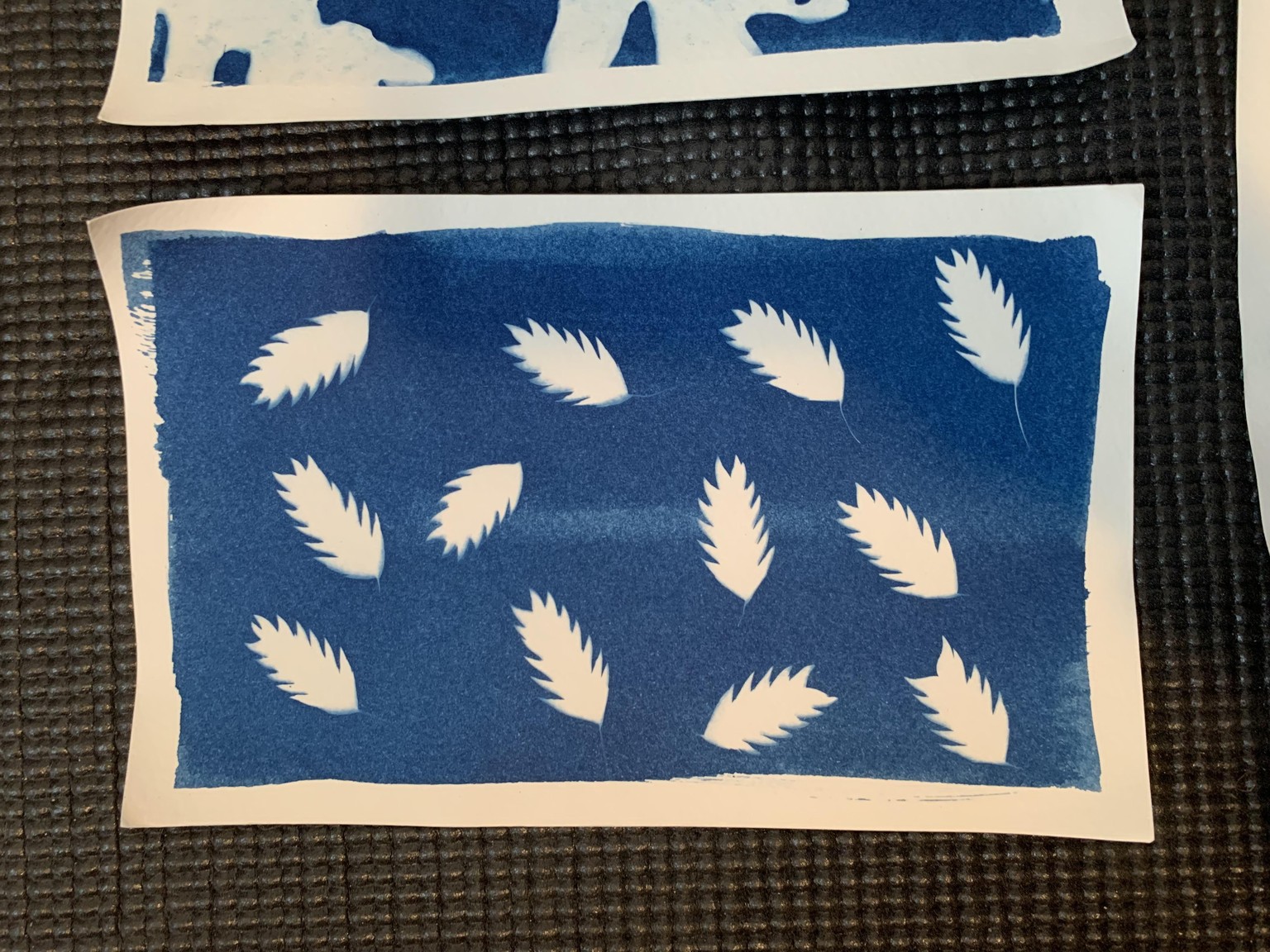 First Cyanotypes - image 6 - student project