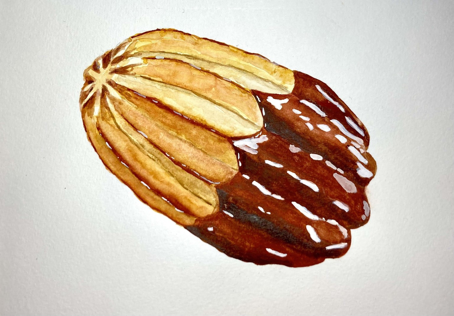 Cookies (4) - image 2 - student project