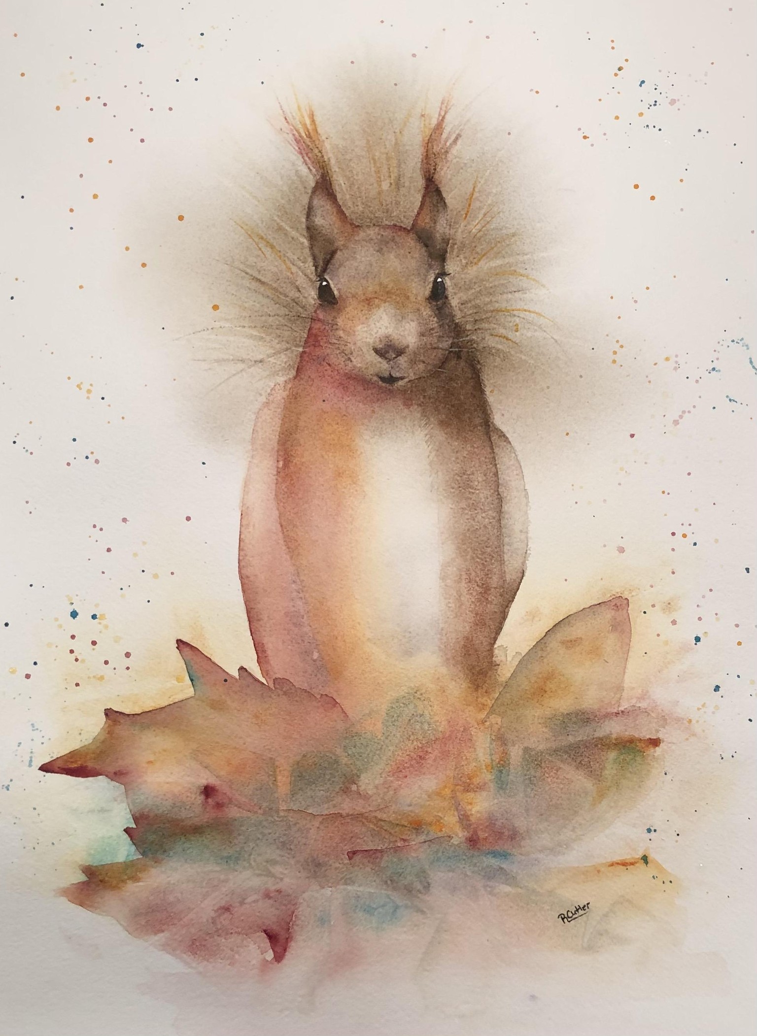 Sidney the Squirrel - image 1 - student project