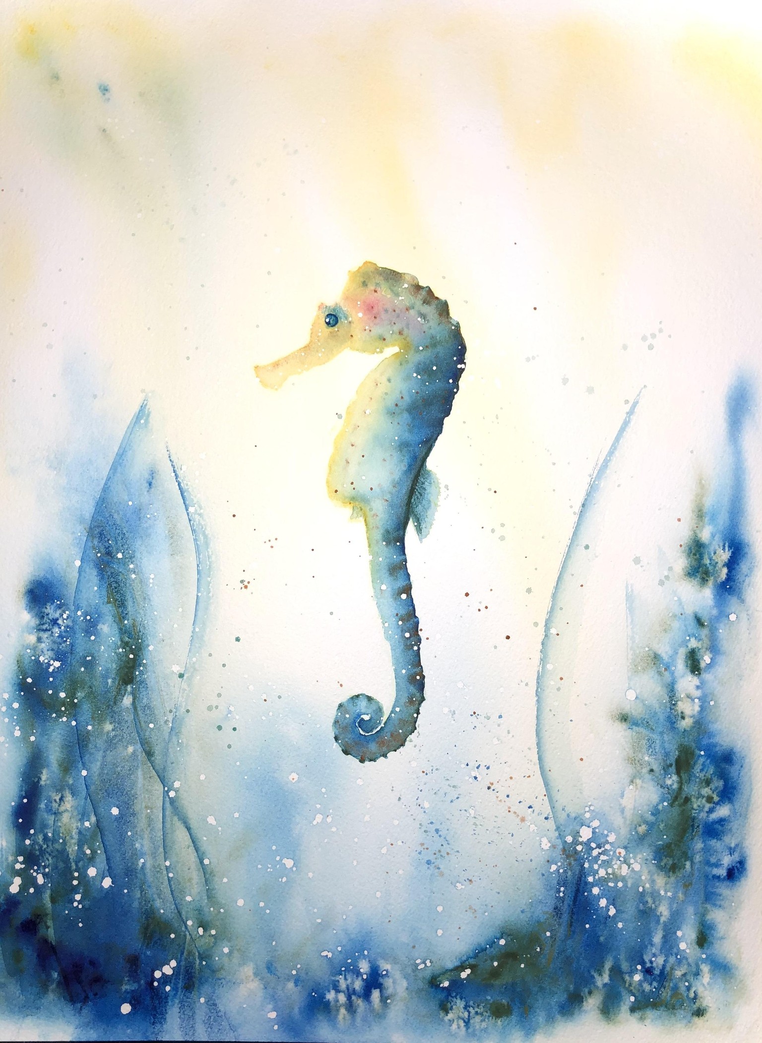Sally the Seahorse - image 1 - student project