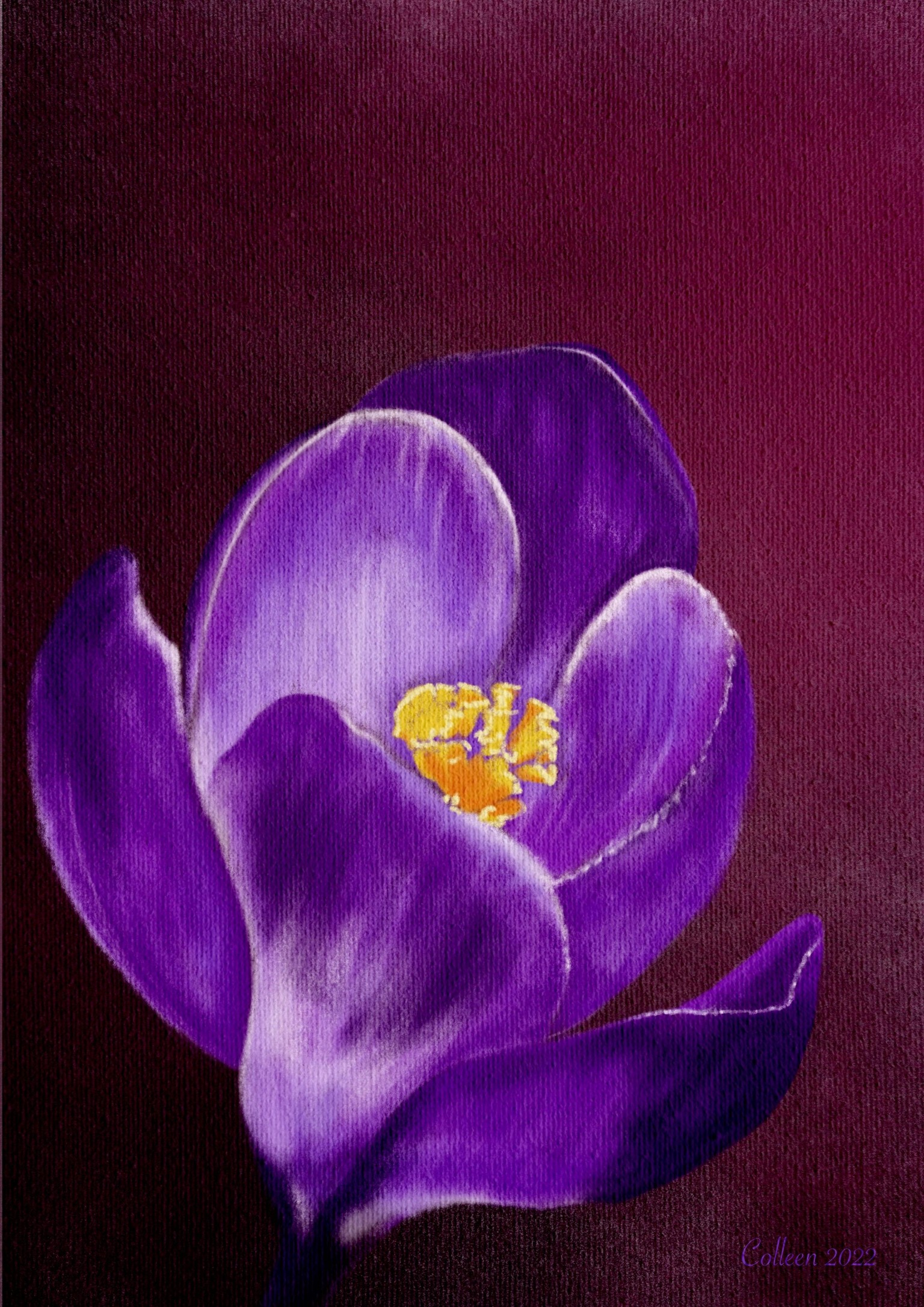 Springtime Crocus - image 1 - student project
