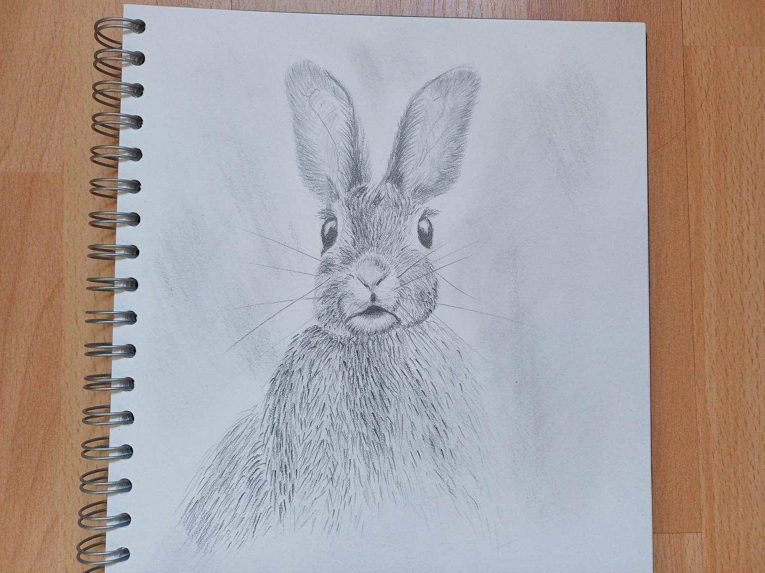 Hare by Petra - image 1 - student project
