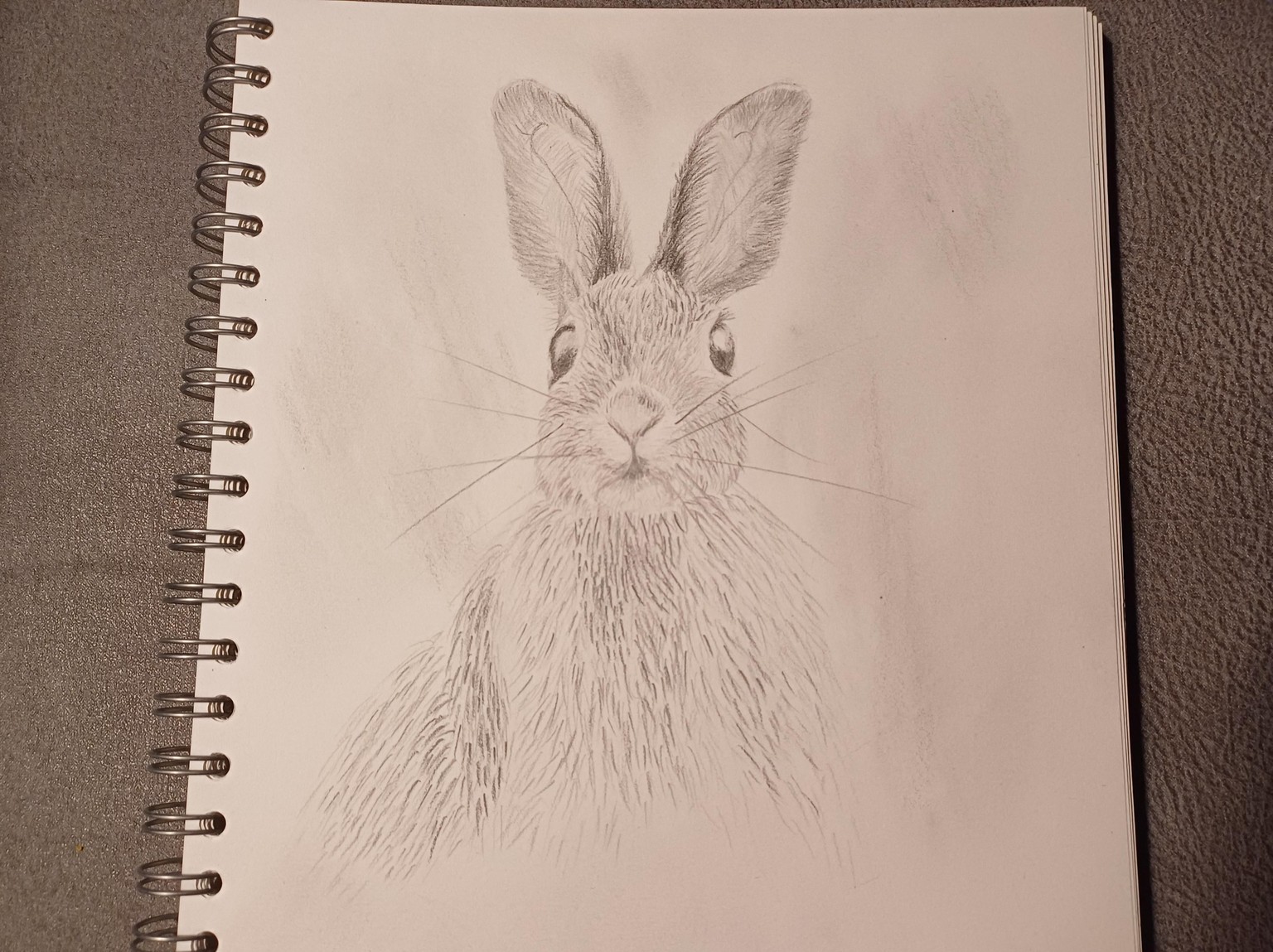 Hare by Petra - image 2 - student project