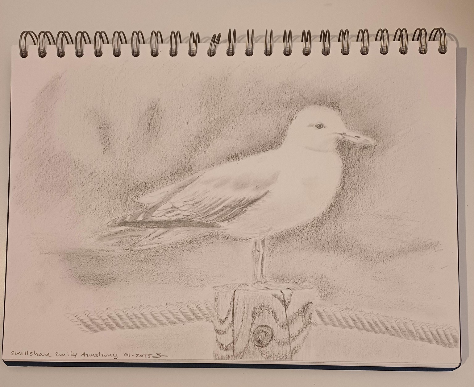 Seagul by Petra - image 1 - student project