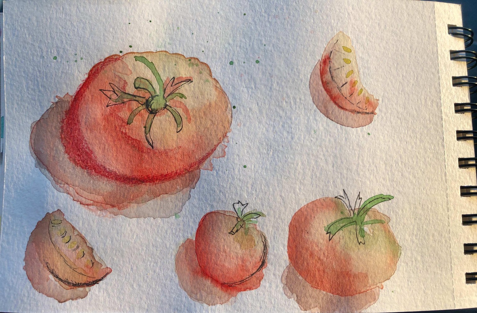 Melting tomato - image 5 - student project