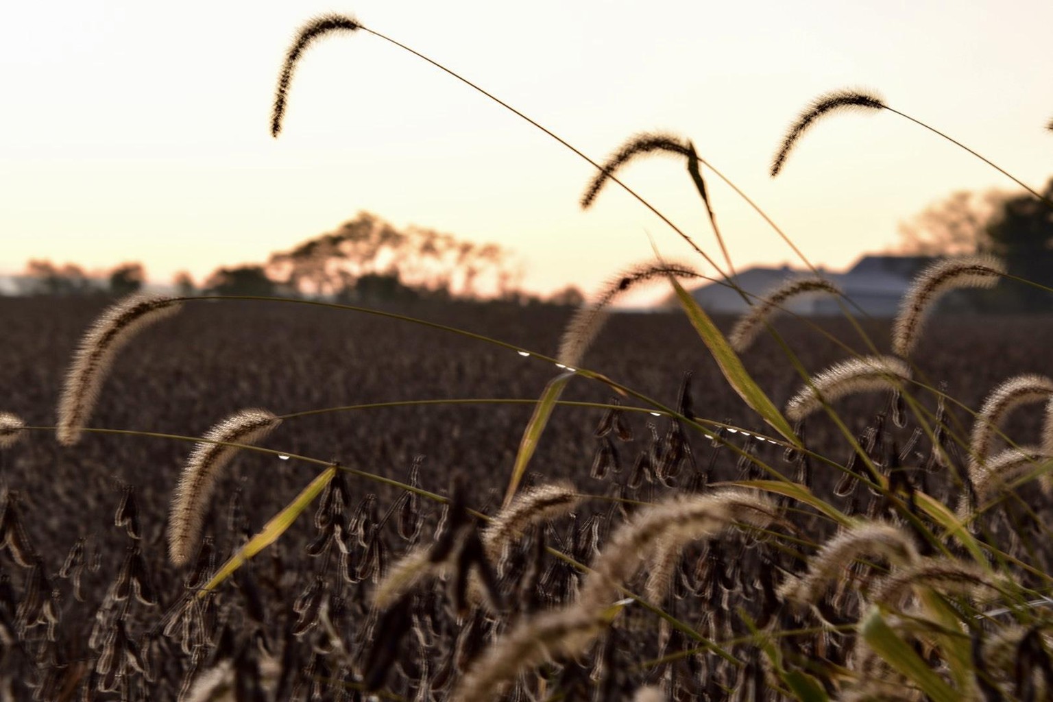 Golden evening hour and Blue Hour morning - image 1 - student project