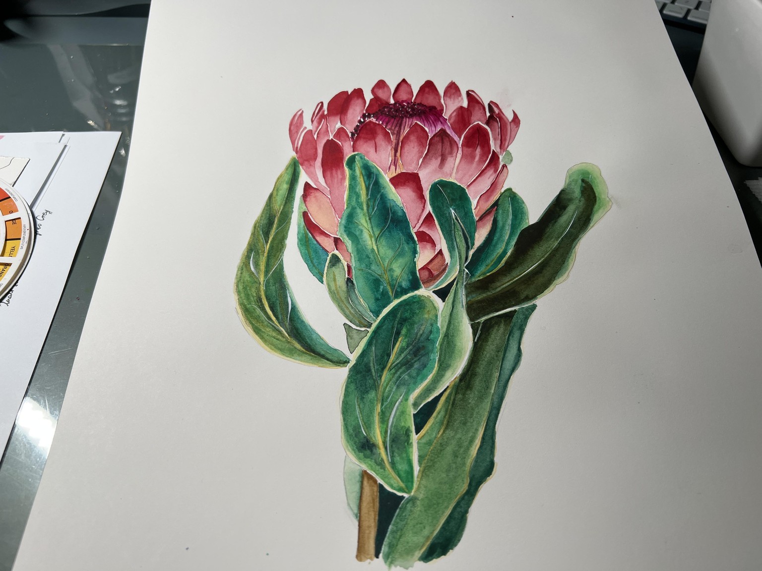 Protea - image 1 - student project