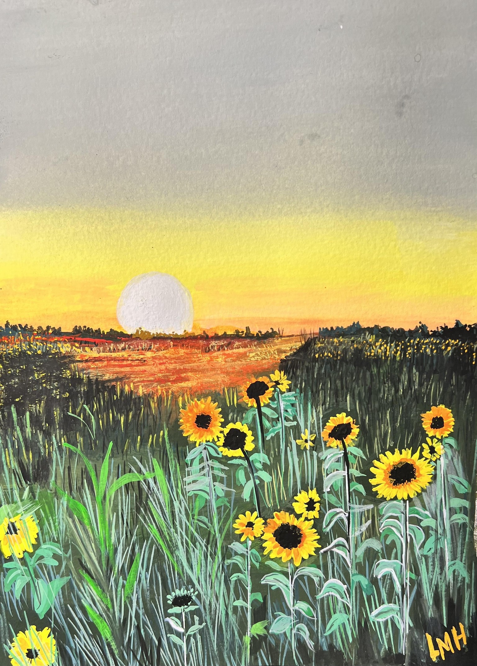 Meadows - image 1 - student project