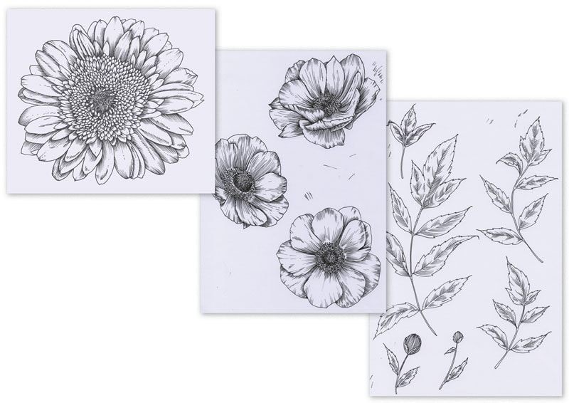 Botanical Summer Placement Print & Mockup - image 1 - student project