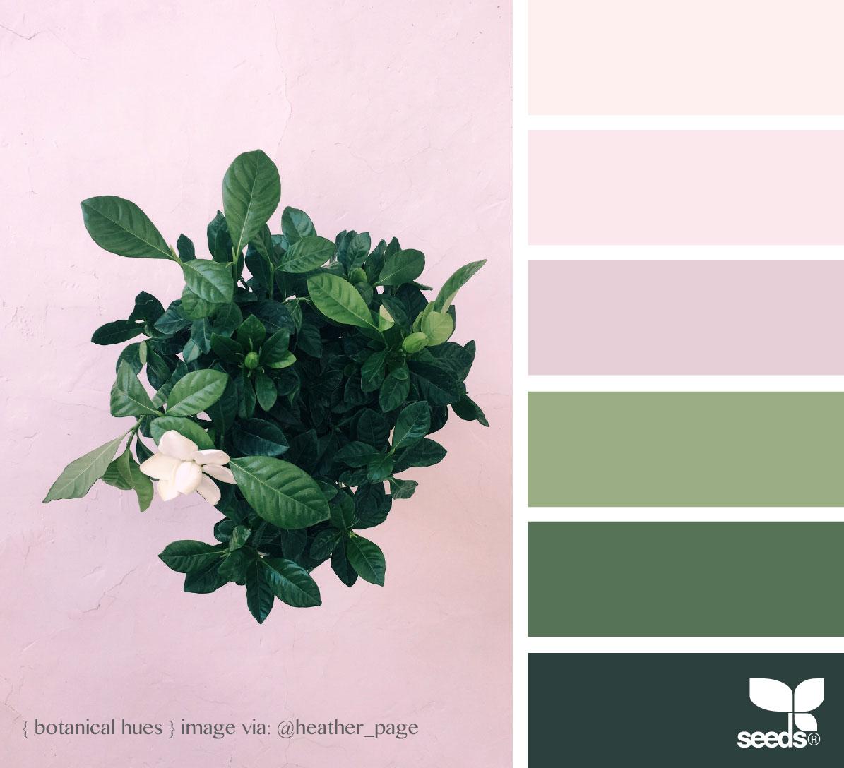 Botanical Summer Placement Print & Mockup - image 2 - student project