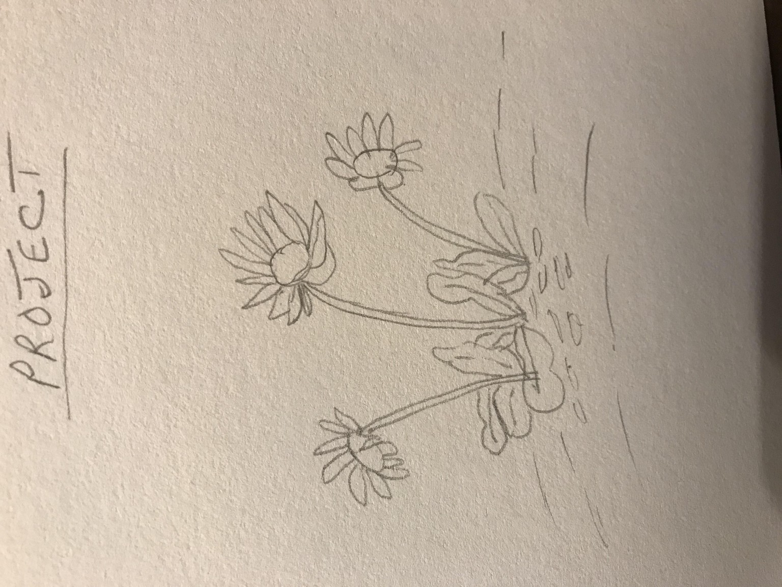 Floral Plant - image 1 - student project