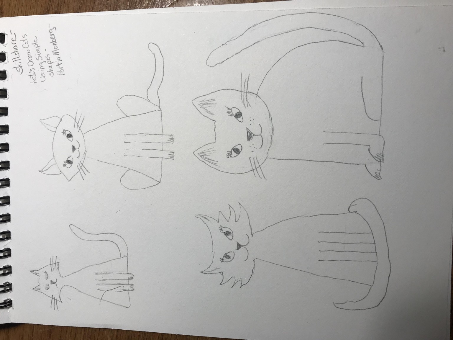 Let's Draw Cats Using Simple Shapes - image 1 - student project