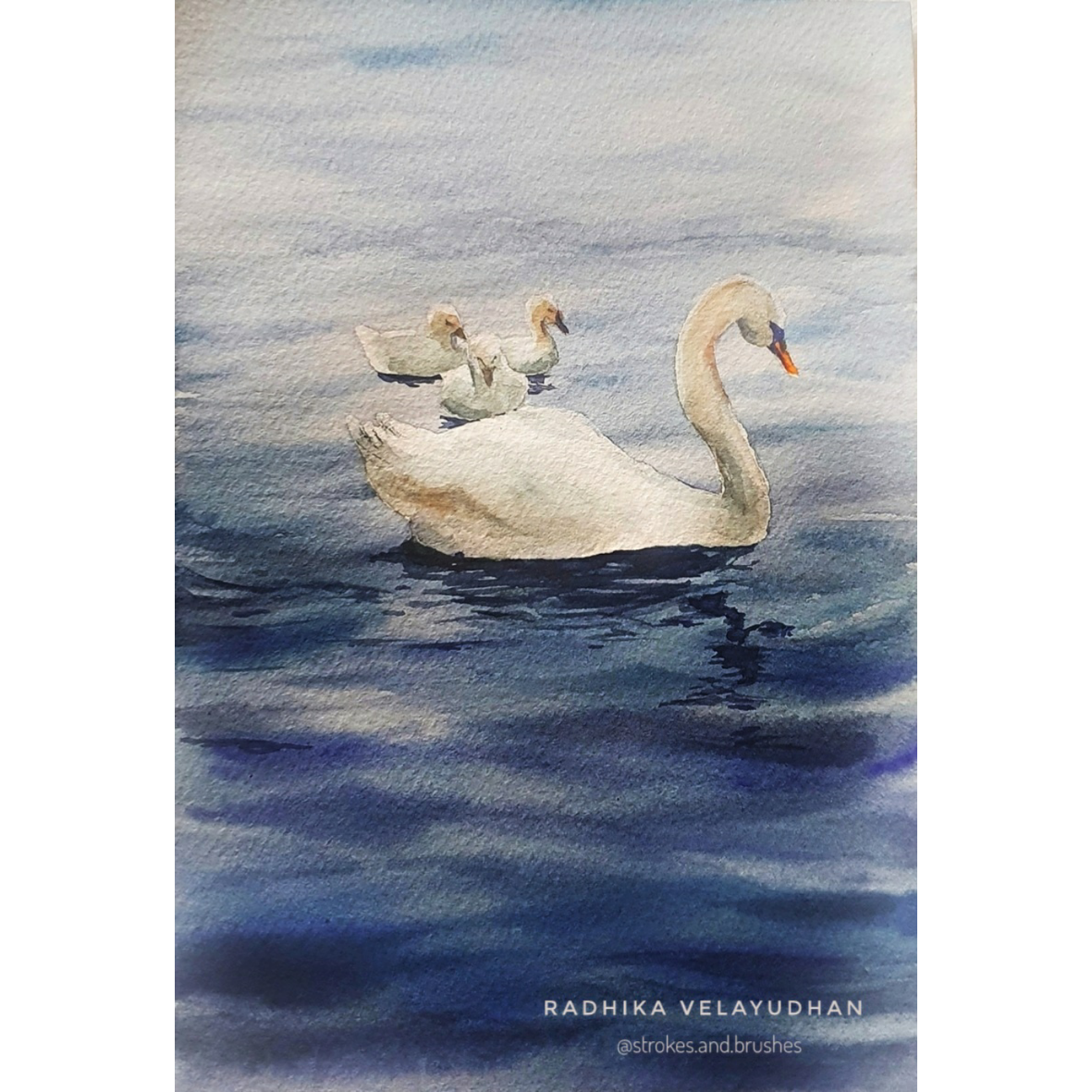 Swan lake - image 2 - student project
