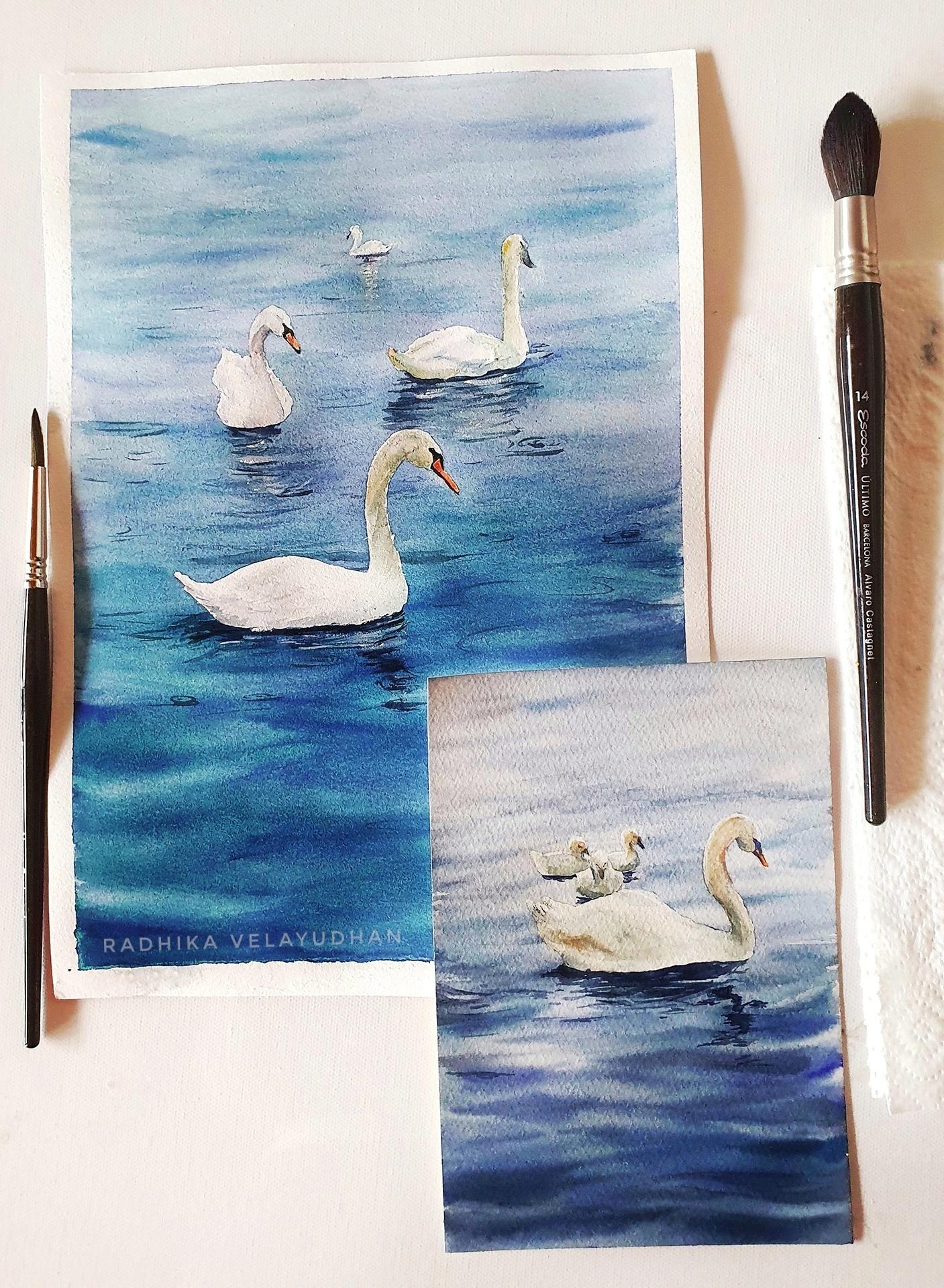 Swan lake - image 1 - student project